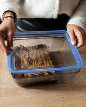 European PYREX storage dish with glass lid