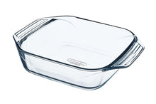 Imported French Pyrex Square 22x22 roaster pan